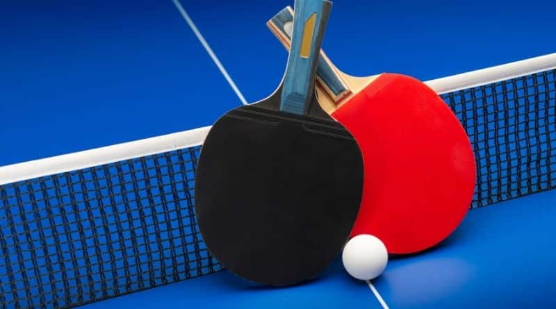 2 Tischtennisschläger lehen auf einem Tischtennisnetz auf einer Tischtennisplatte mit einem Tischtennisball