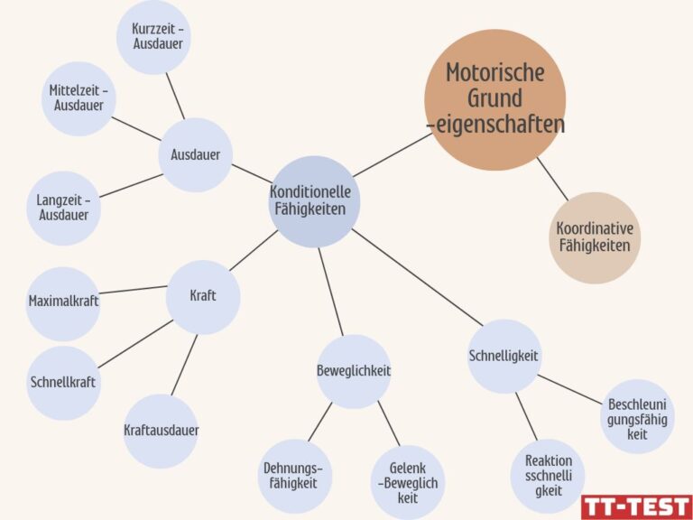 Konditionelle Und Koordinative Fähigkeiten Fitness im Tischtennis: Konditionelle Fähigkeiten [+Tipps]