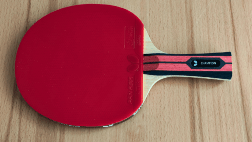 Butterfly Team Champion Test – Für echte Champions?